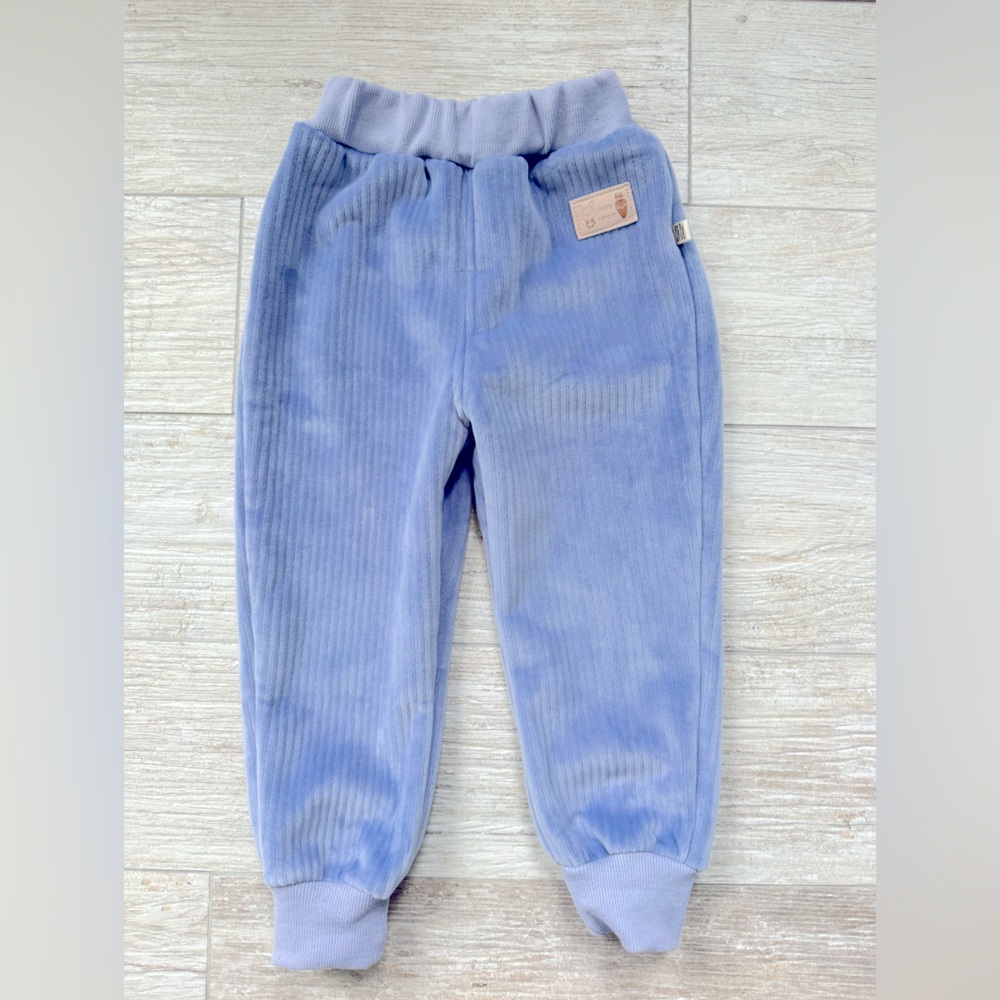 Kids Blue/Purple Corduroy Pants